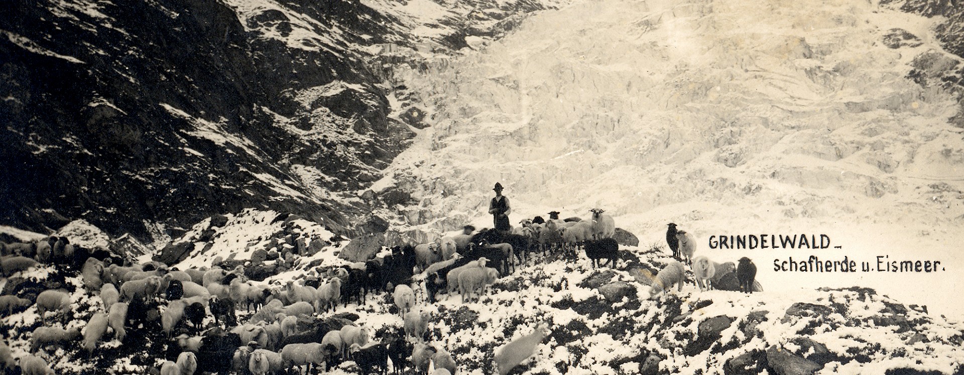 Histoire Association des guides de montagne Grindelwald